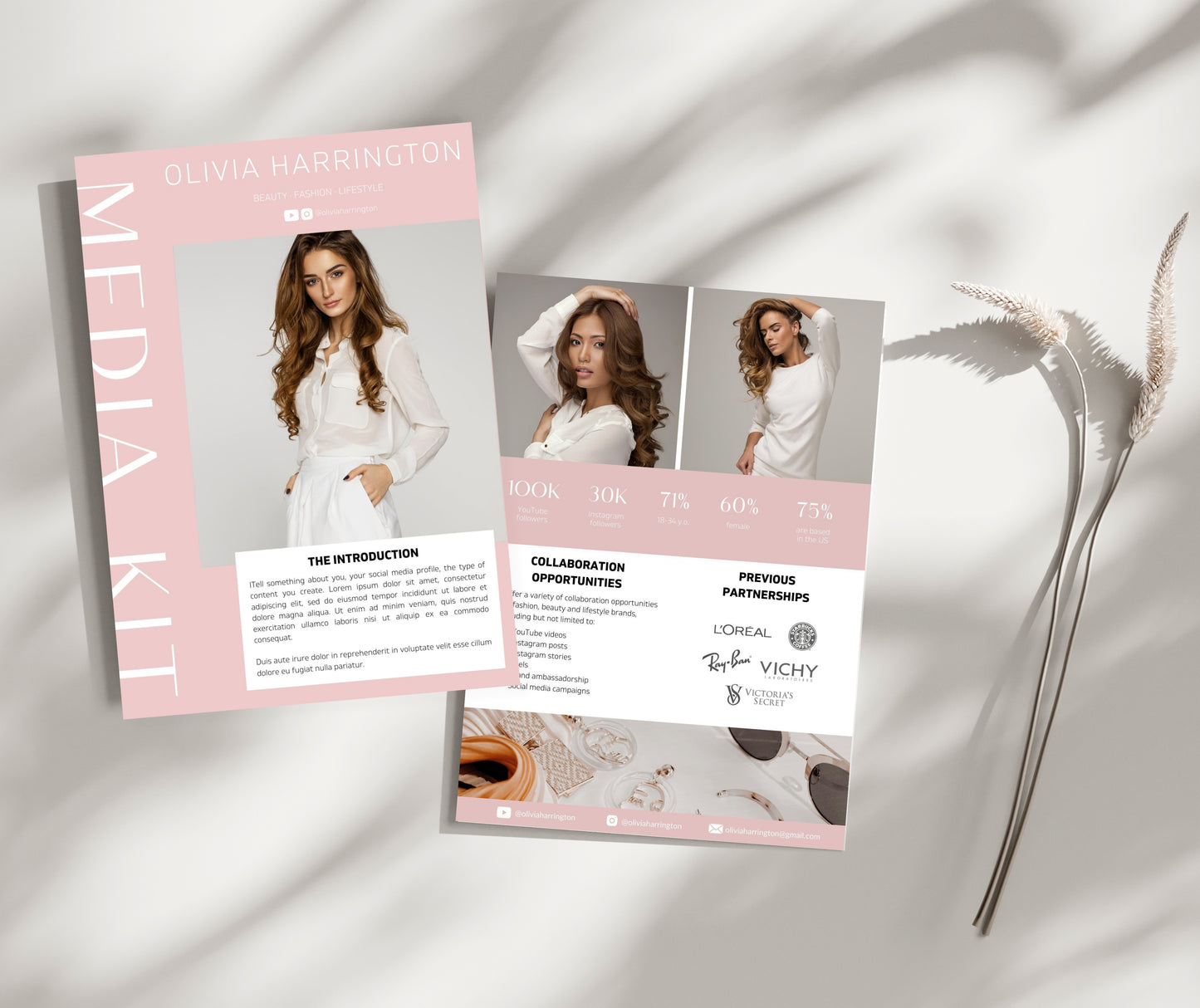 YouTuber Media Kit Template | Canva Media Kit Template for YouTube | 2 Paged Media Kit for Influencer | Pink Media Kit