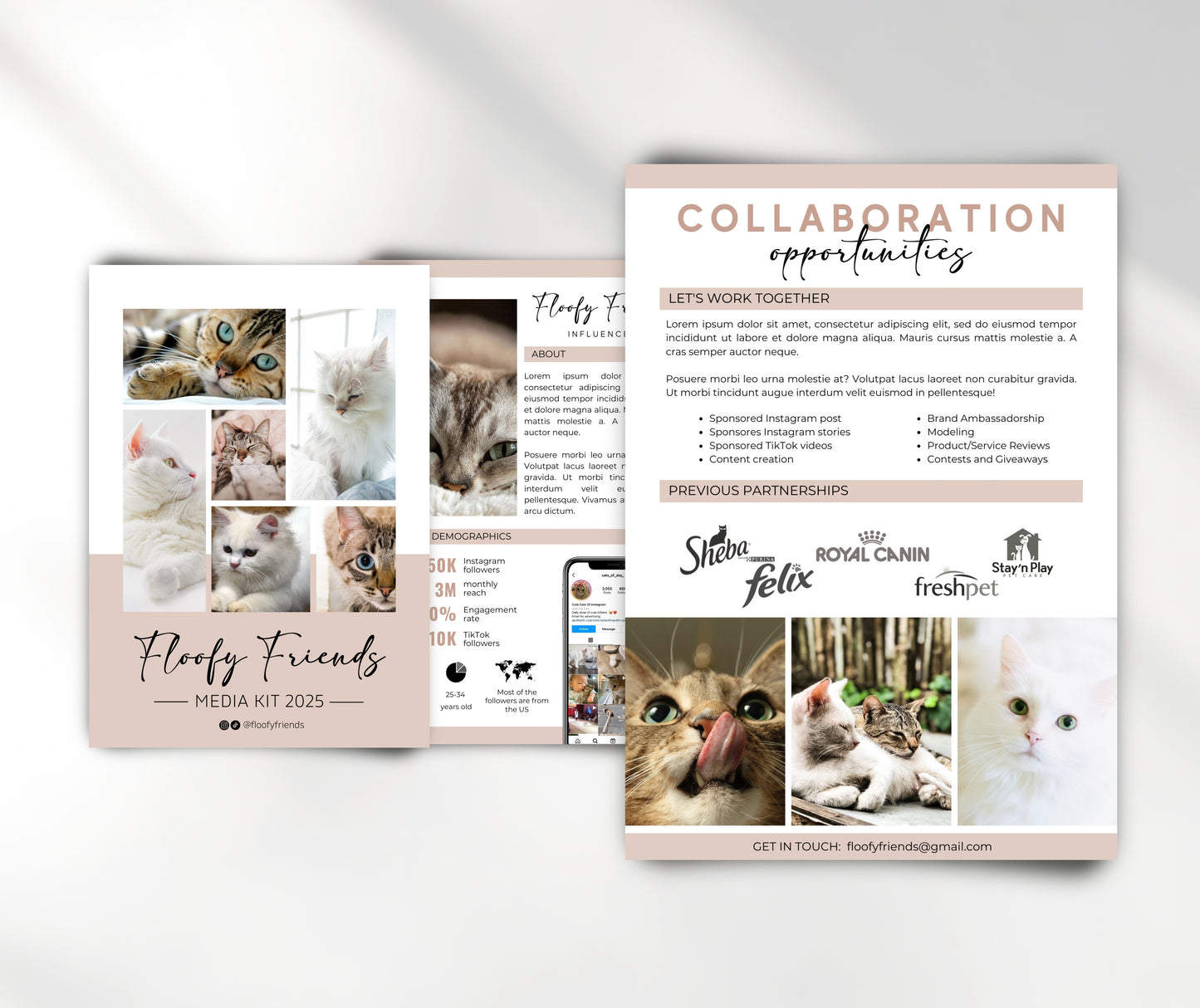 Pets Instagram Media Kit Template for Canva, Cat Influencer Media Kit, Dog Media Kit, 3 Page Pet Media Kit, Cat Instagram Media Kit