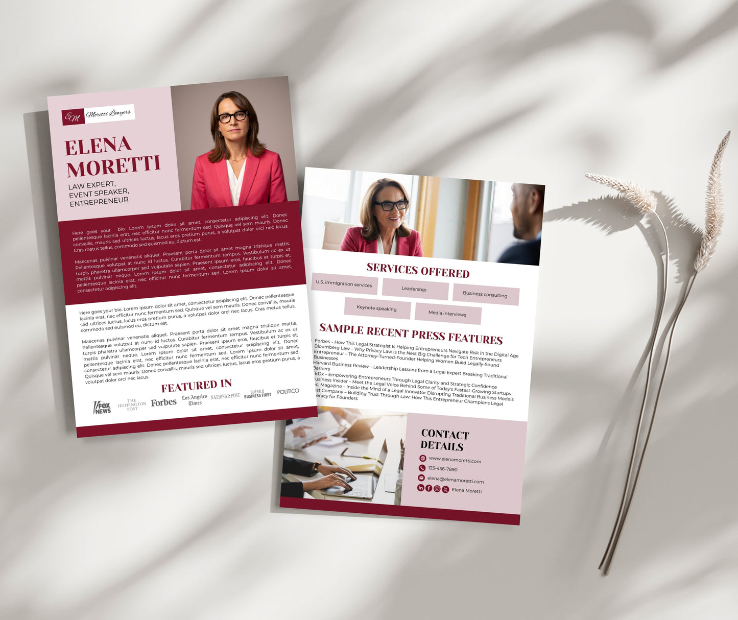 Professional Press Kit Template, Media Kit for Lawyers, Speakers, Entrepreneurs, PR Media Kit, EPK for Media Features, Press Kit Canva