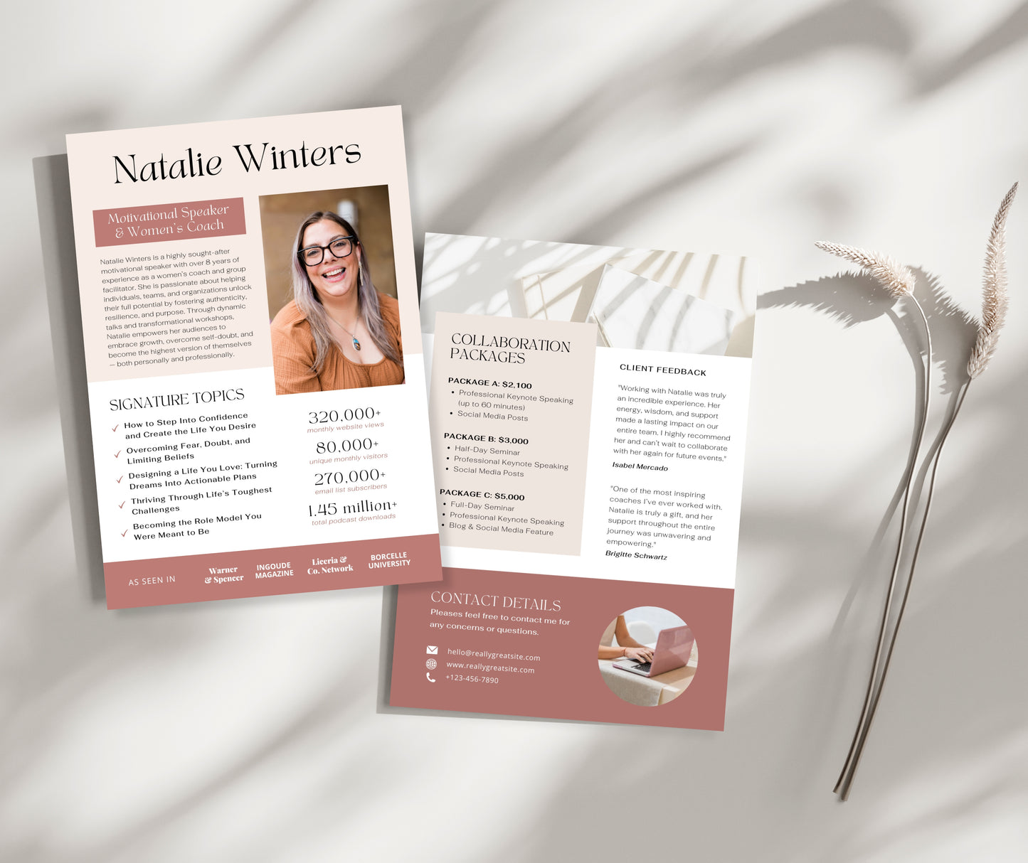 Speaker Sheet Template Canva, Editable Media Kit, Public Speaker One Sheet, Professional Speaker Profile Press Kit Template Instant Download