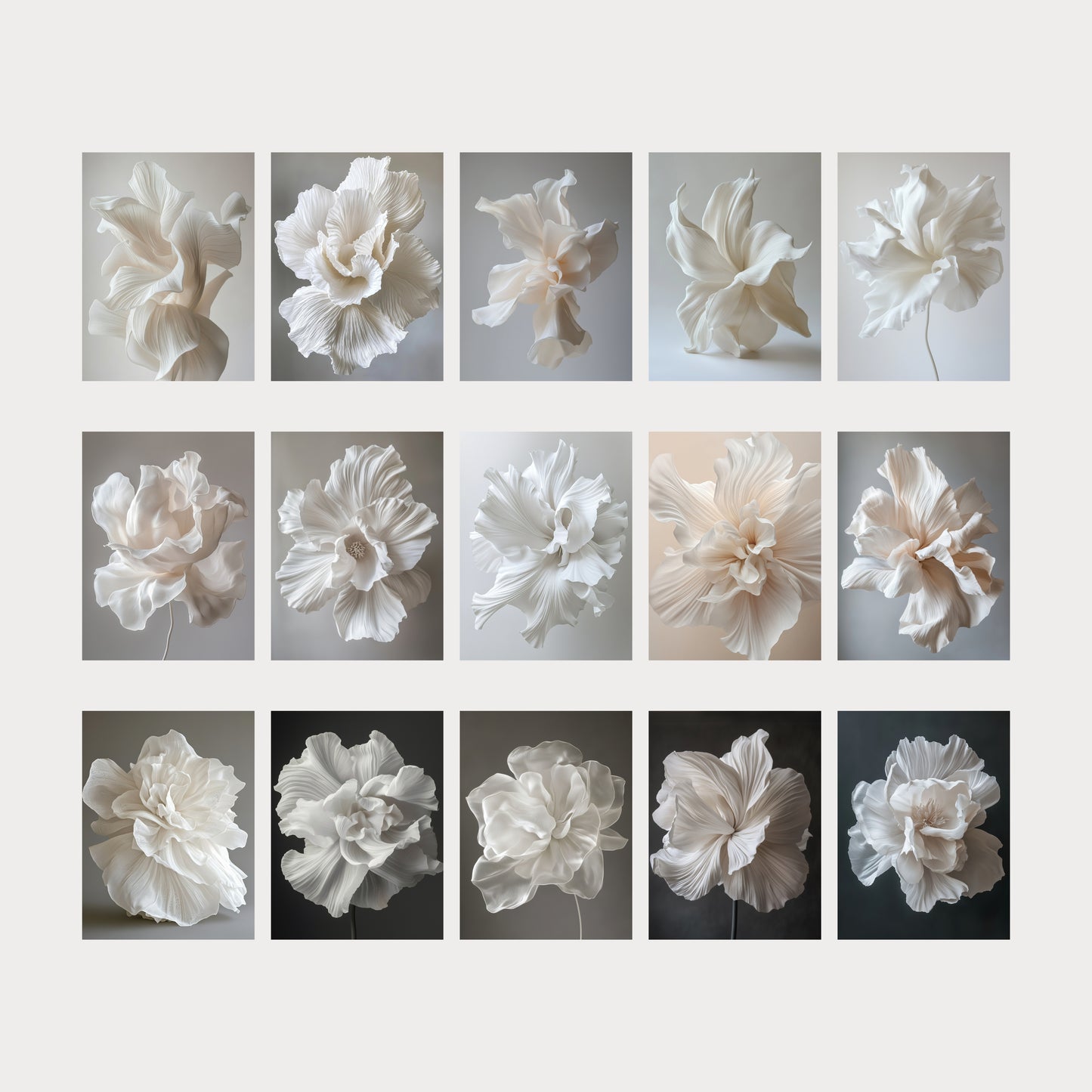 Elegant White Flower Digital Backdrops for Photoshop, High-Res Floral Backgrounds for Portraits, Maternity, Wedding, Photography Editing