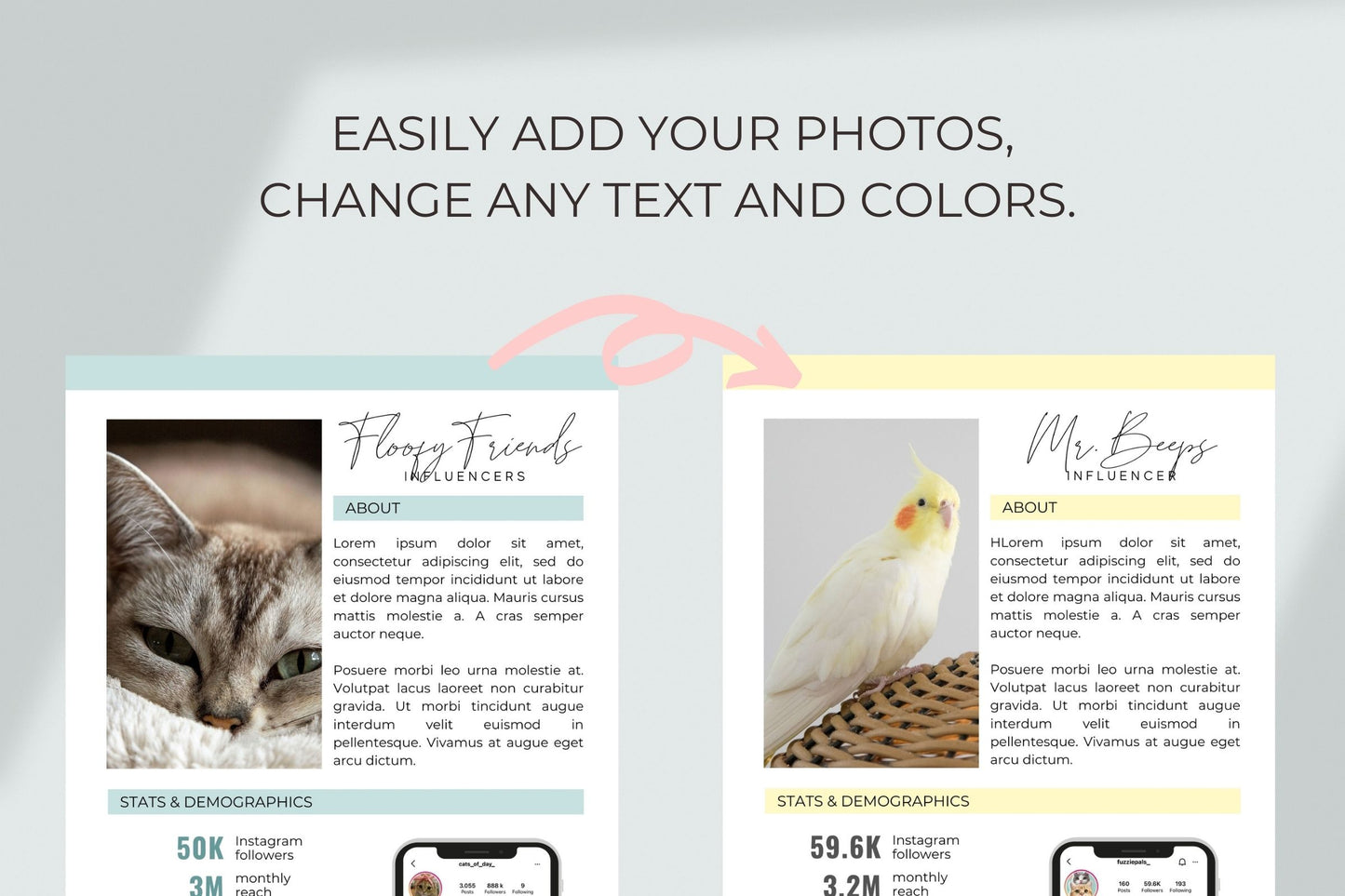 Media Kit, Pets Instagram Media Kit Template for Canva, Instagram Influencer Media Kit, 3 Page Press Kit, Pitch Kit, Blogger Press Kit