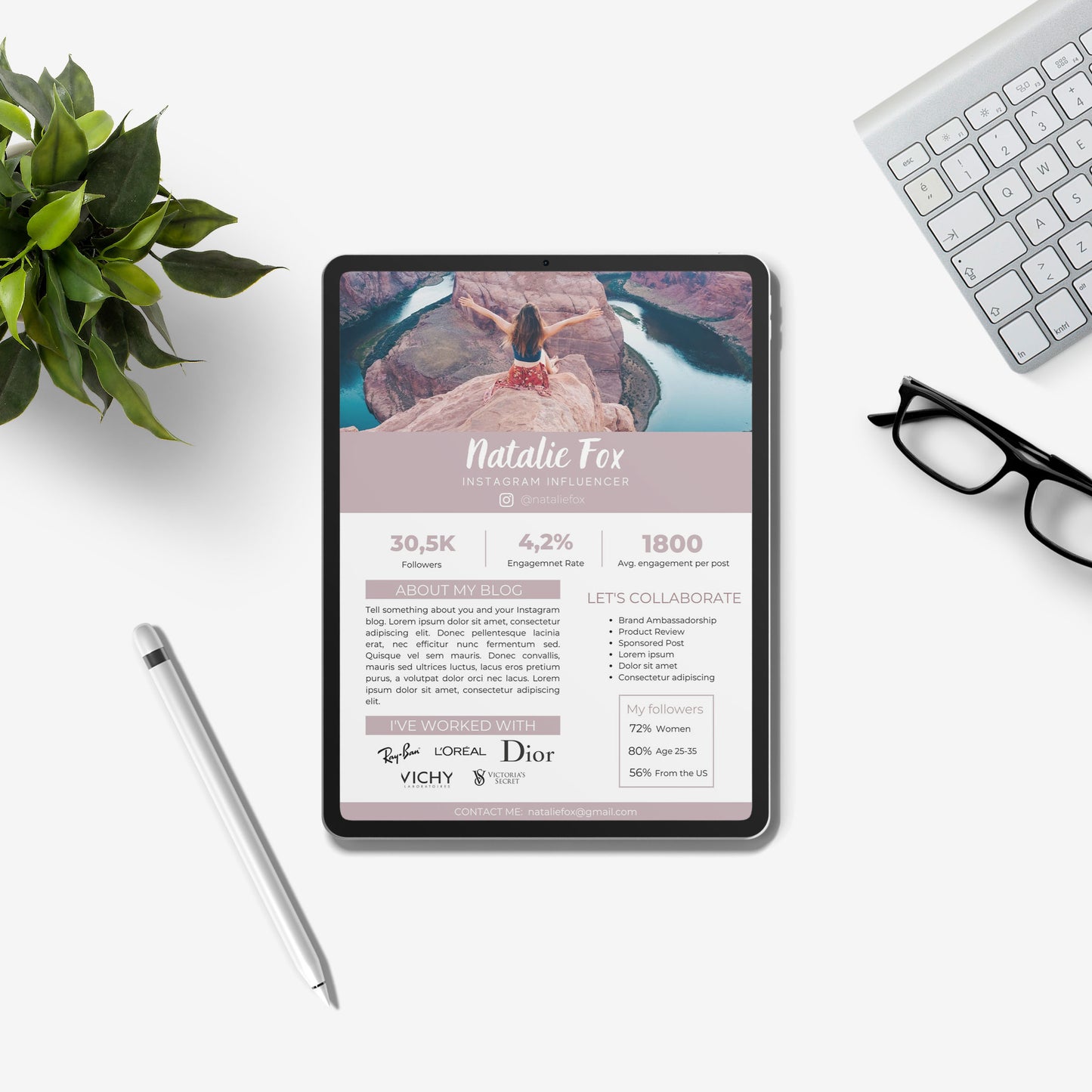 Media Kit Template | 1 page Media Kit Canva Template | Instagram Influencer Media Kit | Press Kit | Pitch Kit