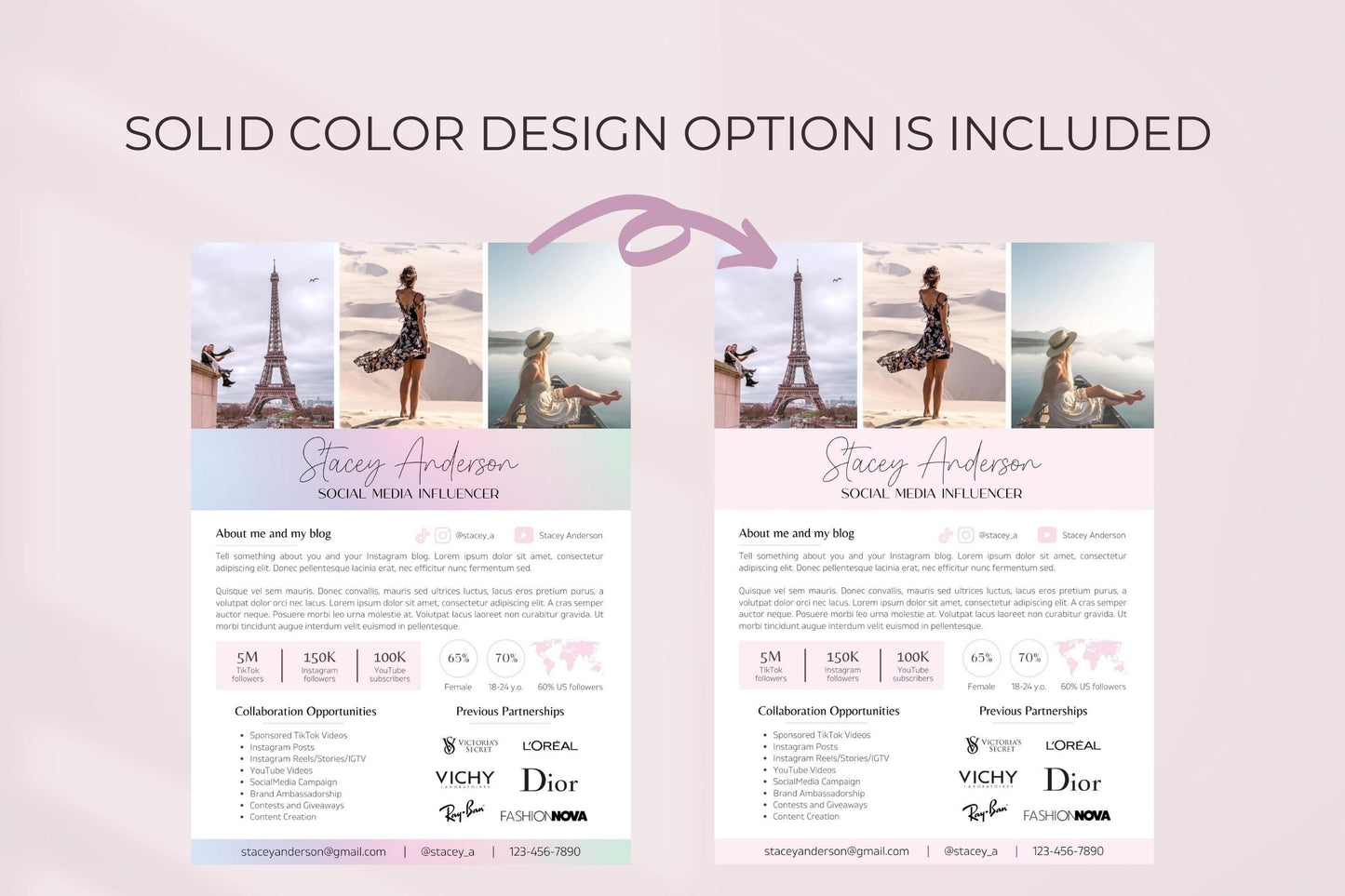 1 page Media Kit Template for Canva, TikTok Influencer Media Kit, Instagram Media Kit Template, Social Media Influencer Rate Card